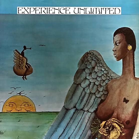 EXPERIANCE UNLIMITED - FREE YOURSELF VINYL