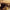DOORS - MORRISON HOTEL SESSIONS (2LP) VINYL RSD 2021