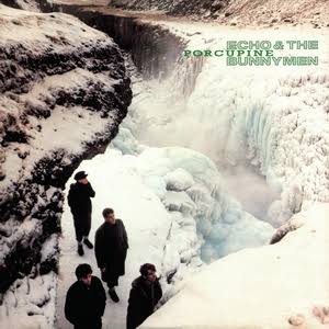 ECHO AND THE BUNNYMEN - PORCUPINE VINYL