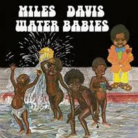 MILES DAVIS - WATER BABIES VINYL