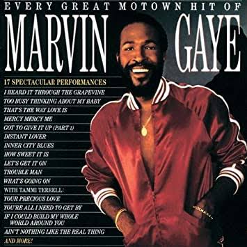 MARVIN GAYE - EVERY GREAT MOTOWN HIT OF MARVIN GAYE VINYL