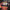 ANIMAL COLLECTIVE - CENTIPEDE HZ 2LP VINYL