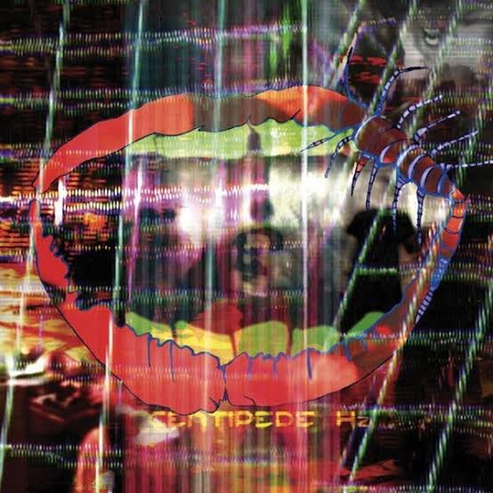 ANIMAL COLLECTIVE - CENTIPEDE HZ 2LP VINYL
