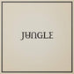 JUNGLE - LOVING IN STEREO VINYL