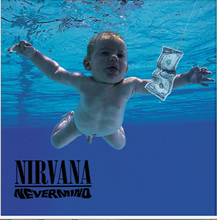 Load image into Gallery viewer, NIRVANA - NEVERMIND (PICTURE DISC 4LP) VINYL
