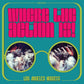 VARIOUS ARTISTS - WHERE THE ACTION IS! LOS ANGELES NUGGETS (2LP) VINYL