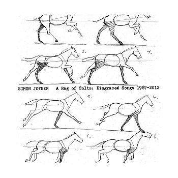 SIMON JOYNER - A RAY OF COLTS: DISGRACED SONGS 1987-2012 VINYL